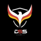 Deutsche Security Service GmbH